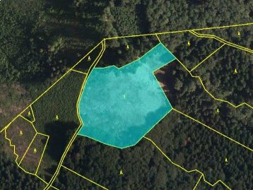 Prodej lesního pozemku o výměře 14 246 m2 v k.ú. Janová, Vsetín 01.jpg